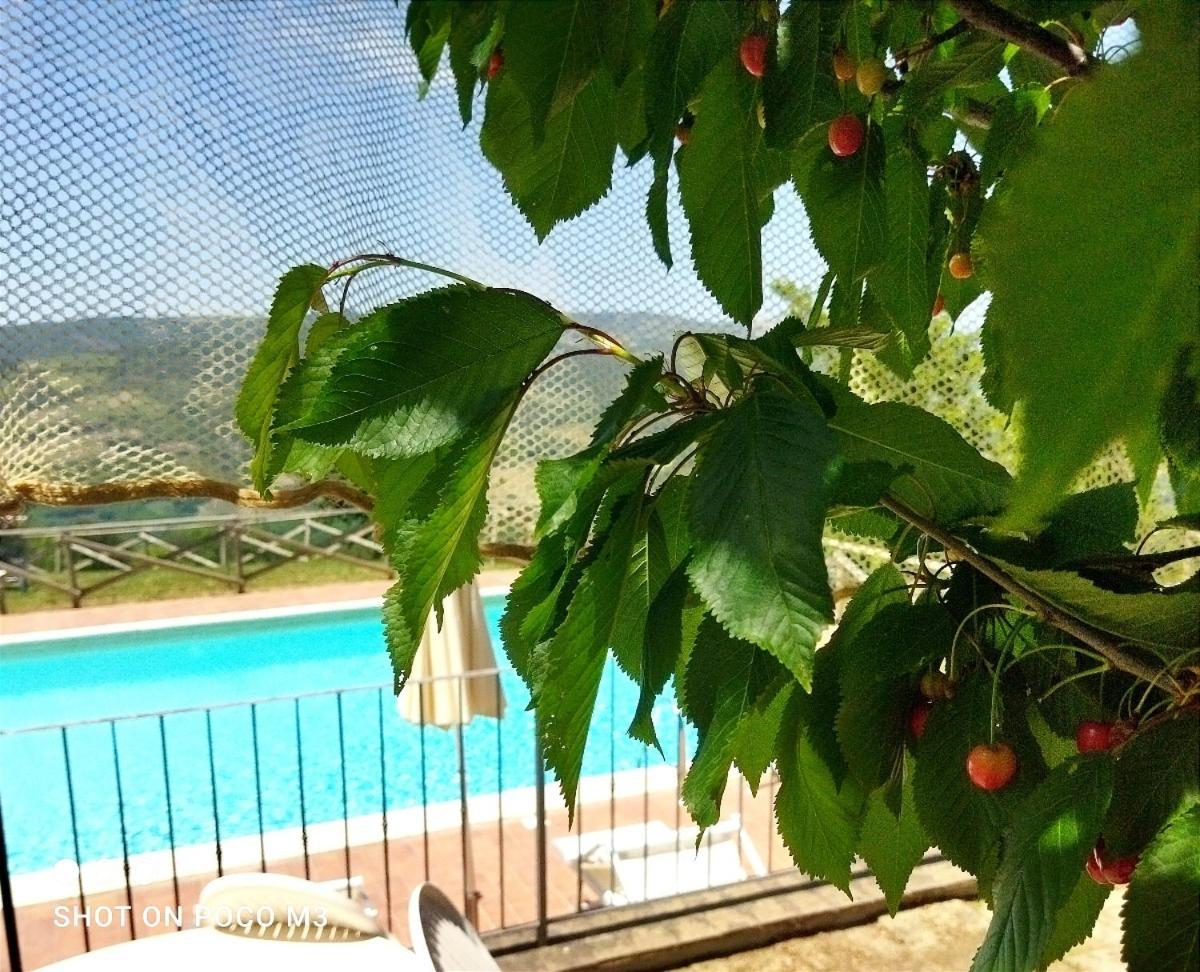 Poggio Al Vento Guest House Castiglione d'Orcia Luaran gambar