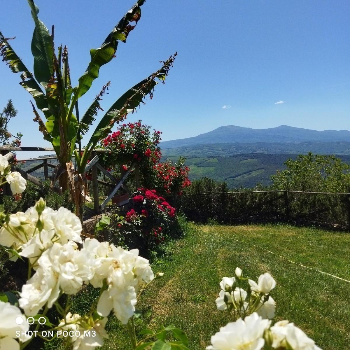 Poggio Al Vento Guest House Castiglione d'Orcia Luaran gambar