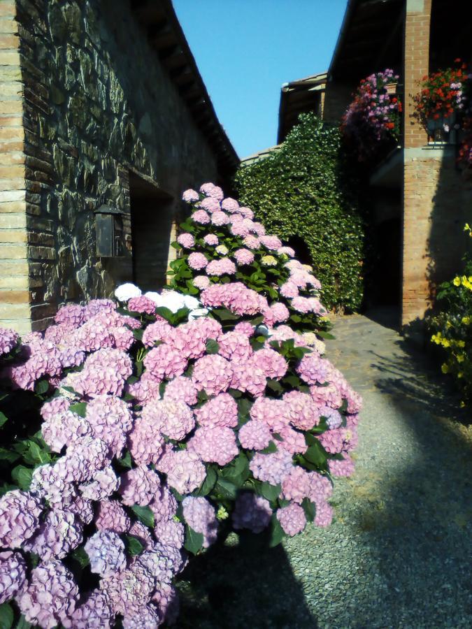 Poggio Al Vento Guest House Castiglione d'Orcia Luaran gambar